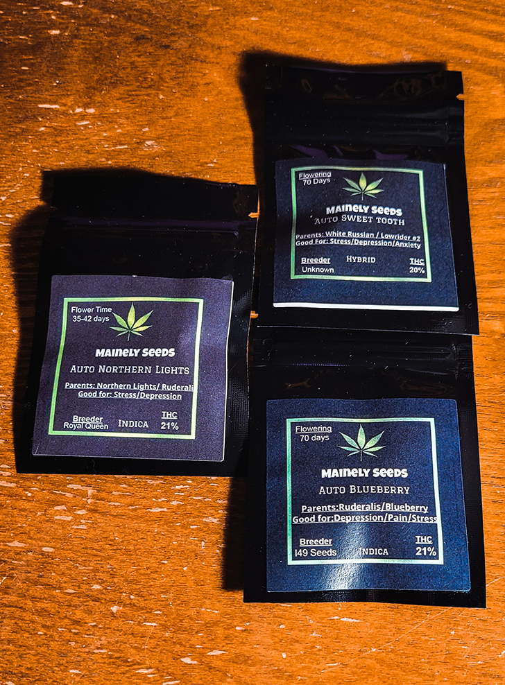 Maine Cannabis Seeds